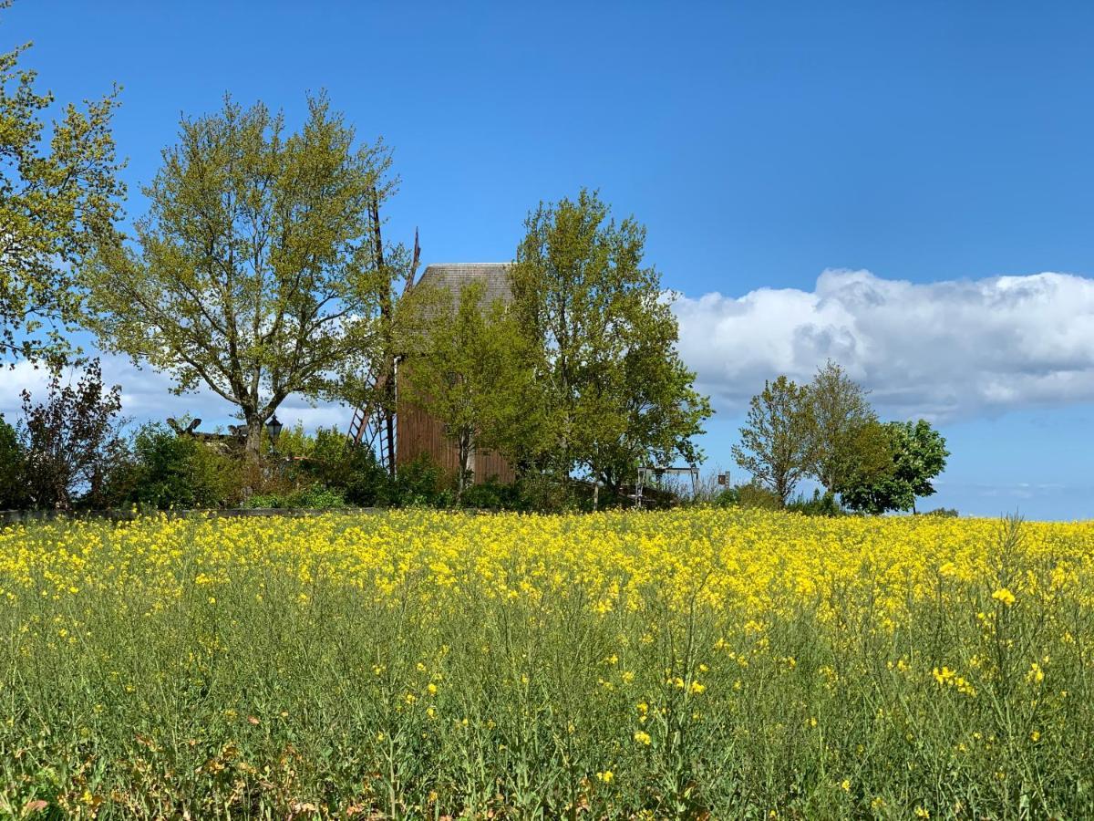 Ostwind - Ferienwohnungen & Meer Steffenshagen Exterior foto